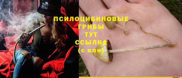 амф Бугульма