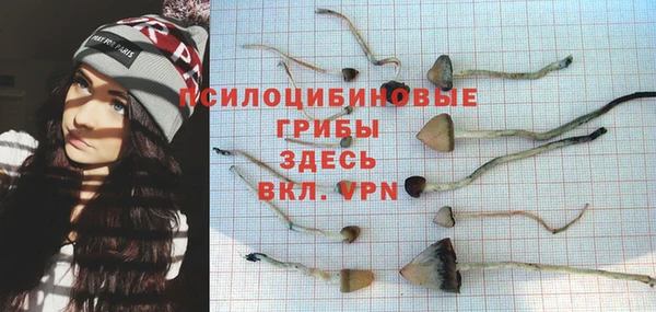 MESCALINE Бородино