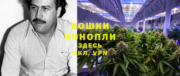 MESCALINE Бородино