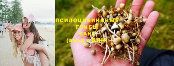MESCALINE Бородино