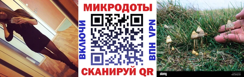 сколько стоит  Мончегорск  Галлюциногенные грибы Magic Shrooms 